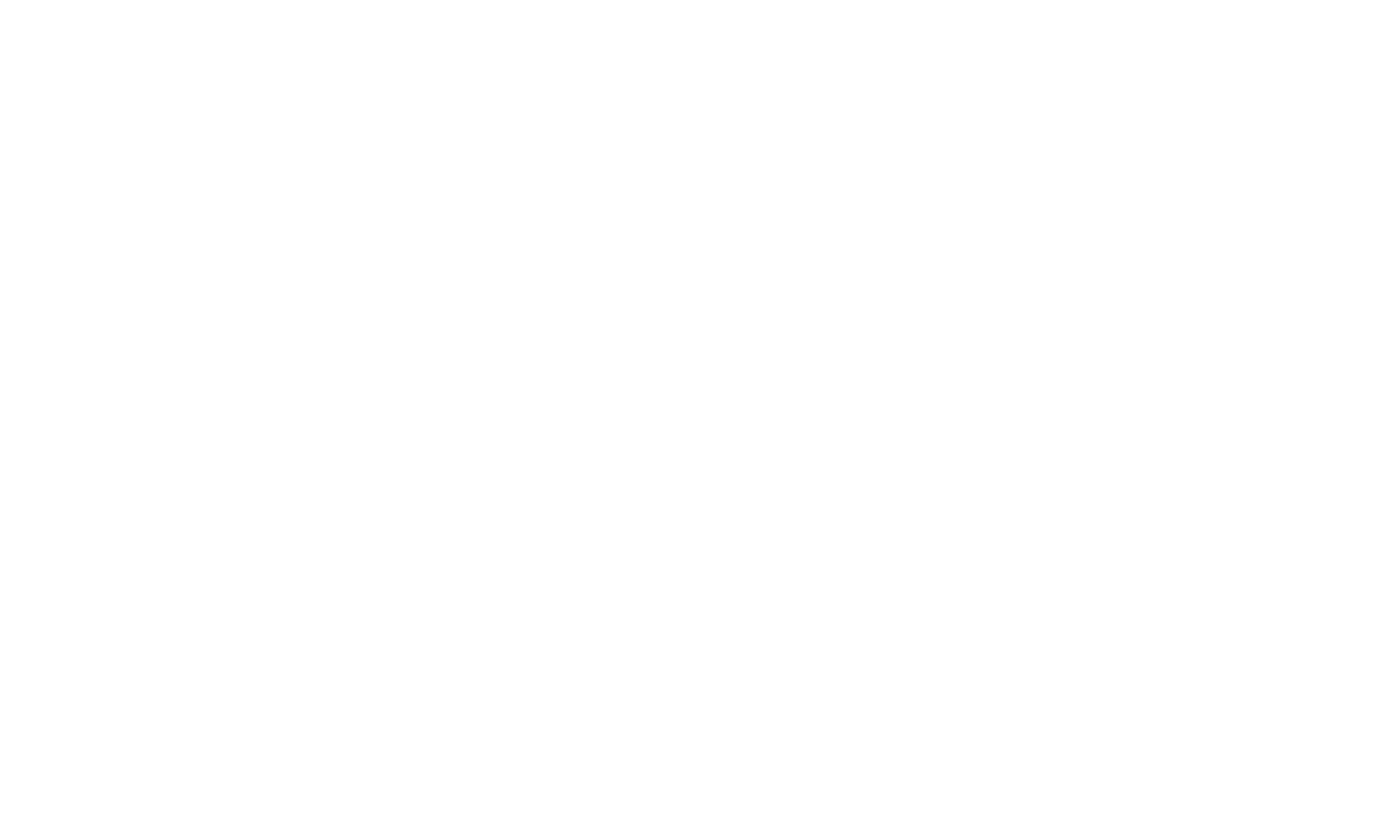customcolor_logo_transparent_background