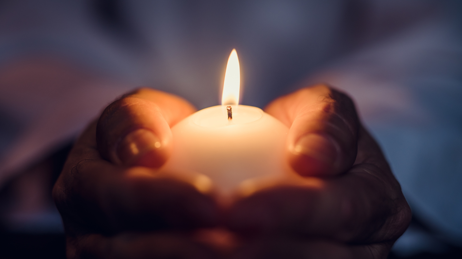 Episode 2 Peace Meditation with David Newman