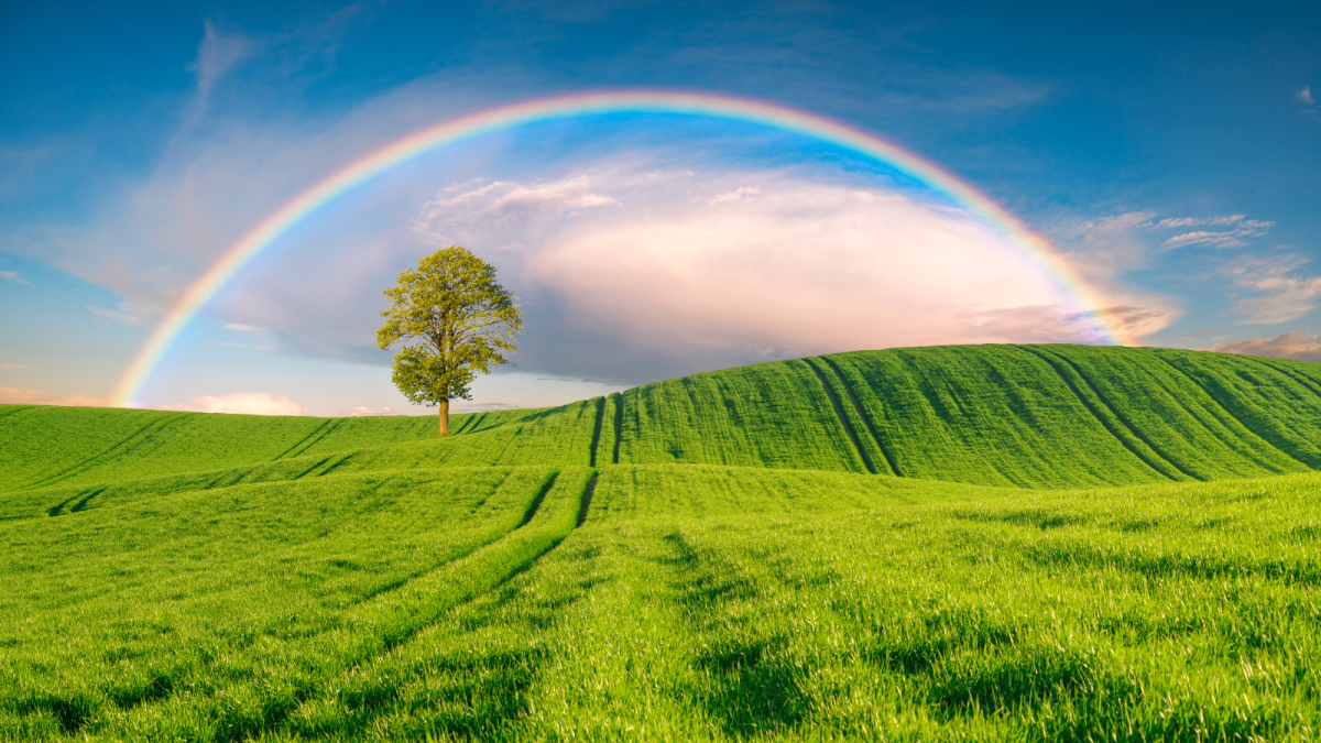 Peace Meditation with Eva Sanner